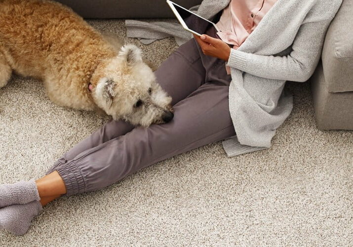 Lady with pet sat on carpet floor | Big Bob's Flooring Outlet Wichita